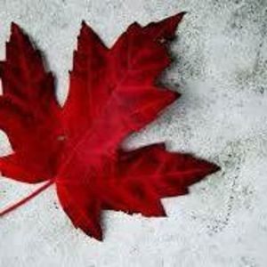 Meet your Posher, Doug